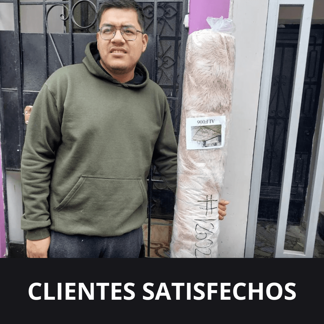 Alfombra peludas para living