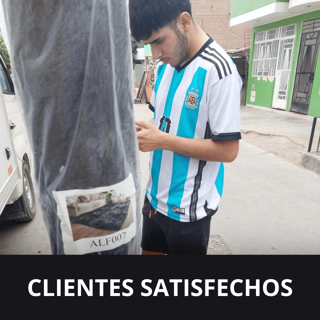 Alfombra peludas para living